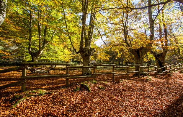 Gorbeia Natural Park, Basque Country